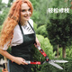 Suizhi gardening scissors, hedge pruning shears, garden lawn greening pruning pruning fruit branches, special thick branch scissors LL6 straight blade hedge shears (SK7 carbon black blade)