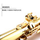 Golden Tone Tortune Saxophone B-flat B-key Beginner Practice Professional Grade Examination Performance Band Straight Wind Instrument JYSS-2000