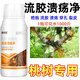 Gengfengwang peach tree gum disease special medicine peach tree gum disease one spray to clear peach tree scab disease perforation canker peach tree gum disease medicine 100ml (can be mixed with 200 Jin Jin equal to 0.5 kg of water)