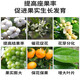 Yue Lian Man Huaguo 3% gibberellic acid gibberellin 920 fruit tree germination and seedling increase yield preservation flower and fruit plant growth regulator 100ml