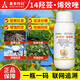 Aowei Aofeng 14 Hydroxyperpene Conconazole Plant Growth Regulator Promotes Roots, Seedlings, Shoots, and Growth Enhances Stress Resistant Cotton 500g*1 Bottle