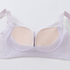 Fenton underwear for women 26 new style 10A antibacterial mugwort skin-nourishing small breast push-up and lift sexy lace wire-free bra light gray purple 80A