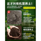 Flower soil nutrient soil for flower cultivation, general vegetable planting soil, household type flower soil, loose and breathable strawberry succulent nursery soil, general organic nutrient soil 30 Jin Jin is equal to 0.5 kg
