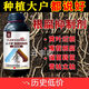 Root rot agent, anti-heavy crop root rot damping off, leaf rot, root root activation, soil manufacturer direct sale, benefit 10004 bottles + 1 measuring cup
