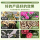 Soil Activator Soil Activator Flower Fertilizer Household Potted Plant Activation Anti-Sclerosis Rooting Fertilizer Nutritional Flower Green 1 Can Shipping Price Increase Really Not Profitable