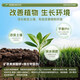 Soil Activator Soil Activator Flower Fertilizer Household Potted Plant Activation Anti-Sclerosis Rooting Fertilizer Nutritional Flower Green 1 Can Shipping Price Increase Really Not Profitable