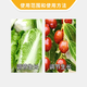 Guoguang Tiandu 8% Aminobutanol Chinese Cabbage Growth and Yield-Promoting Plant Growth Regulator 200g*1 Bag