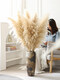 Internet celebrity natural reed pampas grass dried flower bouquet living room window soft decoration exhibition hall layout floor flower arrangement photo props 10 large pampas grass + mottled floor vase_length 120CM