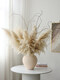 Internet celebrity natural reed pampas grass dried flower bouquet living room window soft decoration exhibition hall layout floor flower arrangement photo props 10 large pampas grass + mottled floor vase_length 120CM