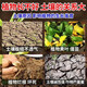 Eight old man loosening essence soil activator loosens and improves soil hardening without deep tillage universal saline-alkali soil conditioner fertilizer 9 bags 30% off the land is like a sponge