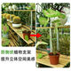 
Beautiful Monstera Support Fixer Anti-Lost Spring Feather Support Hydroponic Branches Flower Pot Flower Floor Anti-Split Climbing Frame 3 Sets Total 12 [Four Sizes]