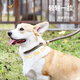 Huayuan pet equipment (hoopet) dog rope explosion-proof Okinawa P rope P chain traction rope collar large and medium-sized dog leash to prevent break-away dog walking