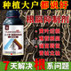 Root rot agent, anti-heavy crop root rot damping off, leaf rot, root root activation, soil manufacturer direct sale, benefit 10004 bottles + 1 measuring cup