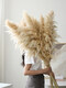 Internet celebrity natural reed pampas grass dried flower bouquet living room window soft decoration exhibition hall layout floor flower arrangement photo props 10 large pampas grass + mottled floor vase_length 120CM