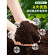 Flower soil nutrient soil for flower cultivation, general vegetable planting soil, household type flower soil, loose and breathable strawberry succulent nursery soil, general organic nutrient soil 30 Jin Jin is equal to 0.5 kg