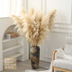 Internet celebrity natural reed pampas grass dried flower bouquet living room window soft decoration exhibition hall layout floor flower arrangement photo props 10 large pampas grass + mottled floor vase_length 120CM