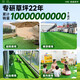 14-pin extra dense high-end artificial artificial fake lawn plastic lawn carpet fake turf outdoor matting balcony green boundary dense velvet model 3 cm thick 1 meter wide * 4 meters long