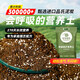 Universal nutrient soil, nutrient soil for flower cultivation, universal soil, special flower soil granular soil, hydrangea rose soil, planting soil, peat, 25L special soil for bulbs * 3 packs