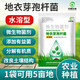 Yong Huan Water-Soluble Bacillus Licheniformis Soil Fertilizer Fertilizer Effective Microbial Bacteria Planting Repeated Crop Dissolving Bacteria Fully Water-soluble 500g/pack*5 packs