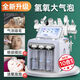 Han Liya Small Bubble Instrument Institute's special blackhead facial introduction oxygen injection device hydrogen and oxygen bubbles double pump gray hydrogen and oxygen seven-in-one bubble pen free of charge