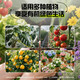 Universal soil nutrient soil 100 Jin Jin is equal to 0.5 kg. General special flower soil for growing vegetables and flowers. Loose and breathable soil for seedlings. 100 Jin Jin is equal to 0.5 kg. Universal organic nutrient soil Jin Jin is equal to 0.5 kg. Full compensation for damage. No odor. No insect eggs.