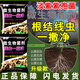 垄颖根结线虫专用药根腐病根线净淡紫紫孢菌淡紫拟青霉根腐根瘤冲施肥 【10袋装】量大更优惠