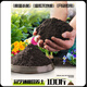 Universal soil nutrient soil 100 Jin Jin is equal to 0.5 kg. General special flower soil for growing vegetables and flowers. Loose and breathable soil for seedlings. 100 Jin Jin is equal to 0.5 kg. Universal organic nutrient soil Jin Jin is equal to 0.5 kg. Full compensation for damage. No odor. No insect eggs.