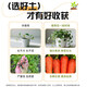 Universal soil nutrient soil 100 Jin Jin is equal to 0.5 kg. General special flower soil for growing vegetables and flowers. Loose and breathable soil for seedlings. 100 Jin Jin is equal to 0.5 kg. Universal organic nutrient soil Jin Jin is equal to 0.5 kg. Full compensation for damage. No odor. No insect eggs.