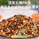 Succulent soil special granular nutritional soil meat deer swamp soil flower cultivation peat tung raw sand sunrise stone old pile master soil leaf inserting seedlings suitable nutritional soil 5Jin Jin is equal to 0.5 kg