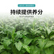 Yonghuan Yandi Conditioning Bao flue-cured tobacco planting conditions soil hardening, regulates acid and alkali, promotes the development of microbial fertilizers and benefits all living beings 500g*1 bag, broadcast and flushing drip irrigation