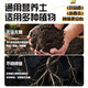 Universal soil nutrient soil 100 Jin Jin is equal to 0.5 kg. General special flower soil for growing vegetables and flowers. Loose and breathable soil for seedlings. 100 Jin Jin is equal to 0.5 kg. Universal organic nutrient soil Jin Jin is equal to 0.5 kg. Full compensation for damage. No odor. No insect eggs.