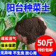 Jieyunmao universal succulent green radish vegetable planting nutritious organic soil 30Jin Jin is equal to 0.5kg balcony vegetable soil store manager