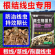 垄颖根结线虫专用药根腐病根线净淡紫紫孢菌淡紫拟青霉根腐根瘤冲施肥 【10袋装】量大更优惠