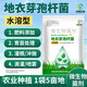 Yong Huan Water-Soluble Bacillus Licheniformis Soil Fertilizer Fertilizer Effective Microbial Bacteria Planting Repeated Crop Dissolving Bacteria Fully Water-soluble 500g/pack*5 packs