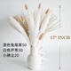 Original idea (CHUGOUXIANG) Yunnan real flower pampas grass whisk dust rabbit tail dried bouquet pampas grass HS36 with box