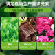 Special nutrient soil for growing vegetables on the balcony. Special soil for growing vegetables on the balcony. Organic nutrient soil. Pastoral soil. Flower soil. Vegetable planting. Long-lasting fertilizer effect. Special soil for growing vegetables. 200Jin. Jin is equal to 0.5kg (high germination rate, good root strength and seedlings).