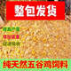 Cat factory direct sales 100Jin Jin is equal to 0.5kg High protein chicken, duck and goose feed corn wheat bran fattening and laying eggs to give back to fans (one day) 50Jin Jin is equal to 0.5kg (active)