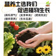Universal soil nutrient soil 100 Jin Jin is equal to 0.5 kg. General special flower soil for growing vegetables and flowers. Loose and breathable soil for seedlings. 100 Jin Jin is equal to 0.5 kg. Universal organic nutrient soil Jin Jin is equal to 0.5 kg. Full compensation for damage. No odor. No insect eggs.