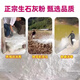 Jingxi Vegetable Special Quicklime Powder Soil Vegetable Land Insect Control Improve Soil Height Quicklime Sprinkle Insect-Free Quicklime Powder 2OJin Jin is equal to 0.5 kg