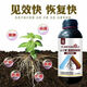 Yunfeng Harvest Root Rot Agent Root Rot Damping Down Leaf Rot Root Dead Tree Rooting Activation Soil Disease Prevention 10006 Bottles Select