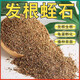Vermiculite granules for cutting rose perlite for flower cultivation, special white vermiculite for turtle egg hatching, nutrient soil, meaty and large, secondary fermentation, sheep manure 5Jin Jin is equal to 0.5kg