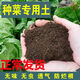 Pastoral soil soil planting soil Special soil for balcony vegetable growing 100 Jin Jin is equal to 0.5 kg Garden soil flower mud soil nutrient soil Vegetable nutrient soil 30 Jin Jin is equal to 0.5 kg (Mixed planting vegetable nutrient soil 30 Jin Jin is equal to 0.5 kg (