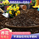 Succulent soil granular soil special nutrient soil succulent plant planting paving stone leaf insert imported peat flower soil imported coconut bran nutrient soil 5 liters without adding a drop of soil