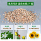 River sand finely screened coarse river sand succulent paving stone Clivia with soil particles planting flower fish tank landscaping bottom sand 10Jin Jin is equal to 0.5kg packed 2-4mm finely screened pure red volcanic stone moisturizing and moisturizing