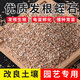 Vermiculite granules for cutting rose perlite for flower cultivation, special white vermiculite for turtle egg hatching, nutrient soil, meaty and large, secondary fermentation, sheep manure 5Jin Jin is equal to 0.5kg