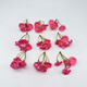 Yao Wan Xi Sen simulation small bunch of plastic flowers DIY straw hat decoration silk flowers fake flowers handmade garland material dried flowers pink x2