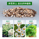 River sand finely screened coarse river sand succulent paving stone Clivia with soil particles planting flower fish tank landscaping bottom sand 10Jin Jin is equal to 0.5kg packed 2-4mm finely screened pure red volcanic stone moisturizing and moisturizing