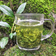 Hongyun Tea Buy one Jin Jin equals 0.5 kg, get half Jin Jin equal to 0.5 kg Xinyang Maojian 2024 New Tea Rain Before Spring Tea Mountain Cloud Mist Bulk Green Tea Green Tea 500g bag (one Jin Jin equals 0.5 kg + half Jin Jin equals 0.5 kg)