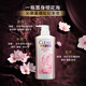 CLEAR Shampoo Dew Conditioner Set Clear Cherry Blossom Dew Long-lasting Fragrance Oil Control Anti-Dandruff Anti-Itching Women's Special Shampoo Recommended by the Manager 500g*1 Bottle