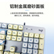 罗技（Logitech）【嗨皮小猫】K845机械键盘 游戏键盘 办公键盘全尺寸办公家用背光电竞吃鸡键盘MOA高度球型键帽 K845-茶轴-嗨皮小猫+G102有线鼠标黑色